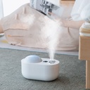 Double Spray Projection Humidifier A-69