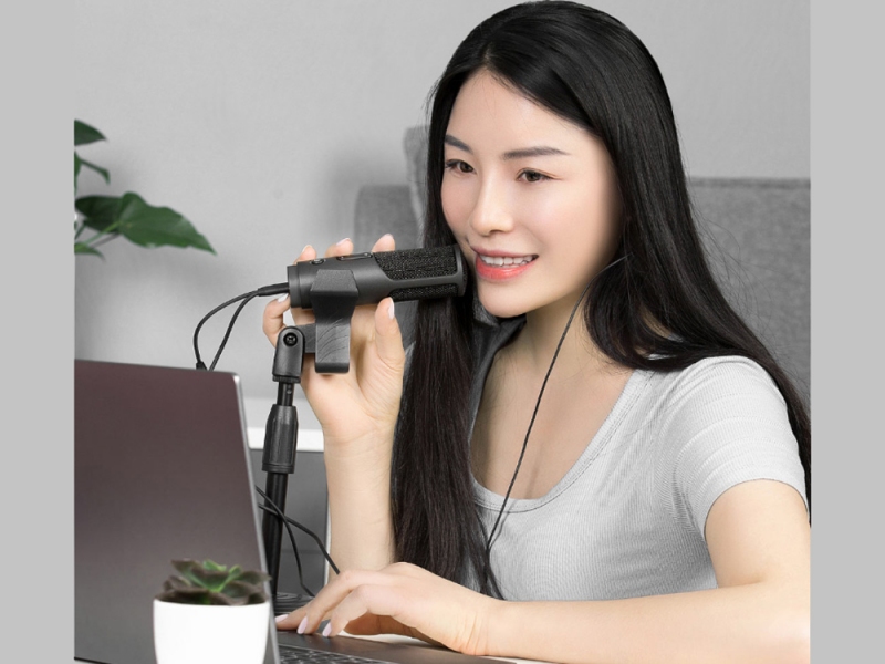 Xiaomi Youpin TLIFE Microphone JLM11 Digital Microphone Wired Version HD noise reduction