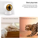 Petoneer Smart Dot Laser Cat Toy PTY010