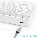 FoxLabs Mirage 60% Gaming Keyboard Arabic and English Optical switches
