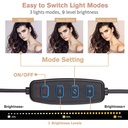 Professional LED Lighting Ring 16cm With Telephone And Microphone Stand 4 In 1 Professional Live Voice Stream