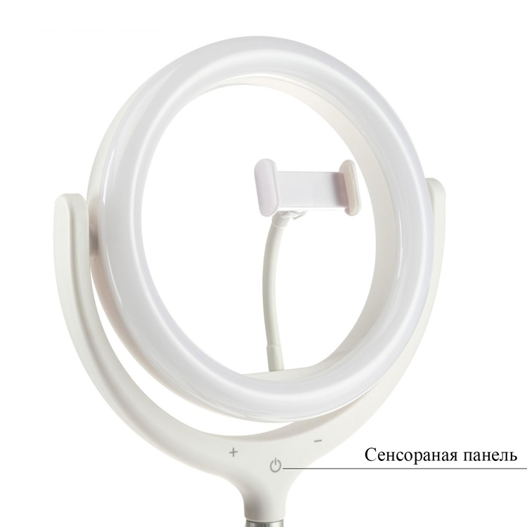 Phone Tripod with 26cm Ring Lamp InnoZone Ring Light Kit F539B