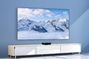 Mi Ambient Light Rejecting Projector Screen 100"inch