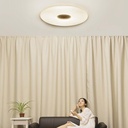 PHILIPS 33W 240V Zhirui LED Ceiling Lamp Descriptions