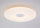 PHILIPS 33W 240V Zhirui LED Ceiling Lamp Descriptions