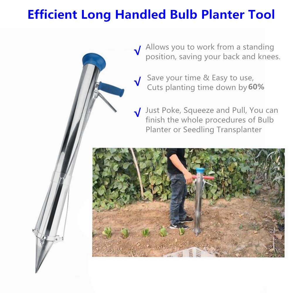Rapid Seeder Stainless Steel Planter Seedling Transplanting Device