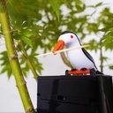 Toothpick Bird Automatic Dispenser