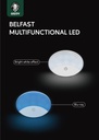 GREEN BELFAST MULTIFUNCTIONAL LED - GNBELMLWH 