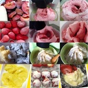 Electric Frozen Fruit Ice Cream Maker Machine