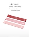 XIAOMI YMRB-L600 YUNMAI 10POUND RESISTANCE WORKOUT PULL UP FITNESS BAND RESISTANCE BANDS WORKOUT EXERCISE PILATES YOGA BANDS LOOP WRIST ANKLE