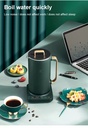 Electric Kettle Smart Thermo pot Glass Health Pot Household Teapot with temperature display Model: OLOEY G-16