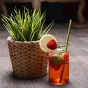 100% organic premium herbal straws | friendly natural disposable drinking straws | A sustainable alternative to plastic - 100 count pack