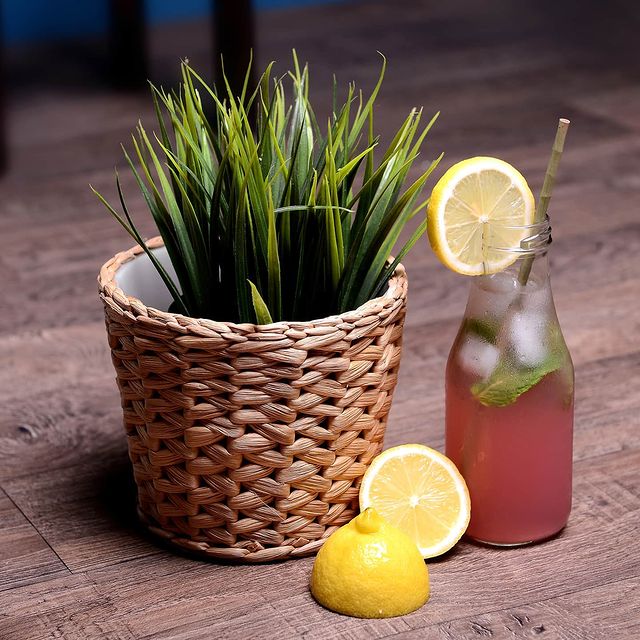100% organic premium herbal straws | friendly natural disposable drinking straws | A sustainable alternative to plastic - 100 count pack
