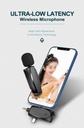 MINI PLUG & PLAY WIRELESS MICROPHONE | AP003 |