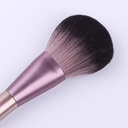 Ducare 8pcs Chinese Classical Makeup Brushes Set Champagne and Taro Purple Plastic Composite Gradient Cosmetic Brushes Kit Powder/Blusher/Highlight/Eye Shadow/Lip Brush with Travel Cloth bag (Purple)