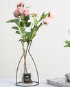 RETRO IRON LINE TABLE FLOWERS VASES NORDIC DECORATION HOME METAL PLANT HOLDER (set of 5 Different Shapes)