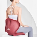Xiaomi Youpin - Portable Seat Cushion Back Support & Waist Protection For Home Or Office | LB-HS003 |