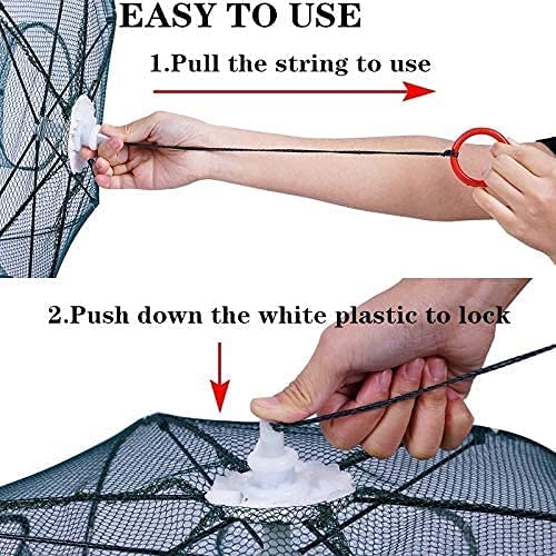 Portable Royal Polar Collapsible Fishing Net for Shrimp Fishing & Sea Feeder With | 8 | Holes