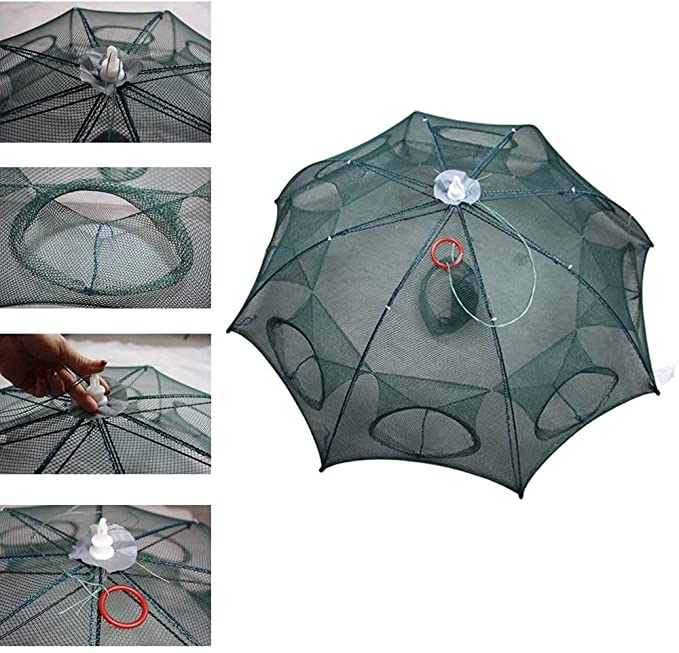 Portable Royal Polar Collapsible Fishing Net for Shrimp Fishing & Sea Feeder With | 8 | Holes
