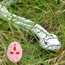 Remote Controlled Wireless Flexible Realistic Fast Moving Snake Toy ITEM NO:9909 A-D