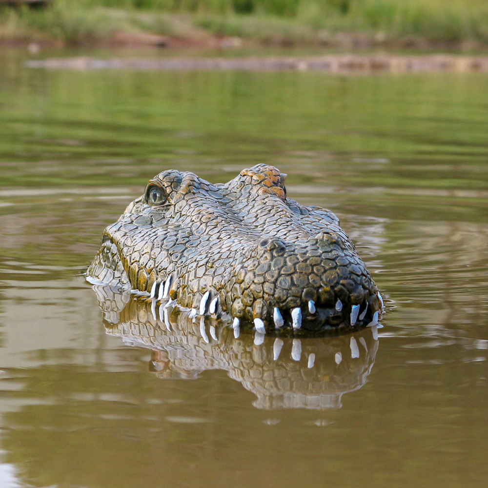 Flytec Remote Control Crocodile Boat Simulation Prank Toy For Pool, Pond And Garden V002/V005