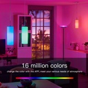 SMART WiFi RGB+CCT FLOOR STAND LIGHT LAMP SUPPORT'S ALEXA & GOOGLE VOICE CONTROL & REMOTE CONTROL