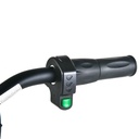 E-Board "16 Inch Electric Balance Bike For | 5 - 11 | Years Old Kid's & 200W Motor Power