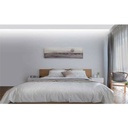 Philips ZhiYu Smart Lights Smart Edition + Driver (9290018586)