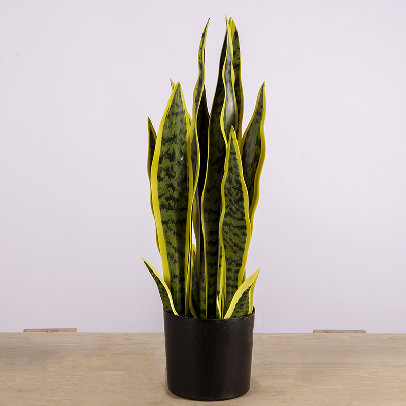 Hand-Made Ornament Small Artificial decoration Plant For Home & Office Decoration Snake Plant | C006 |