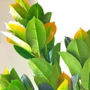 Artificial Oak Plant Tree For Home Decoration For Indoors & Outdoors Use