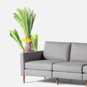 Artificial | Cycas |  Plant Tree For Home Decoration For Indoors & Outdoors Use