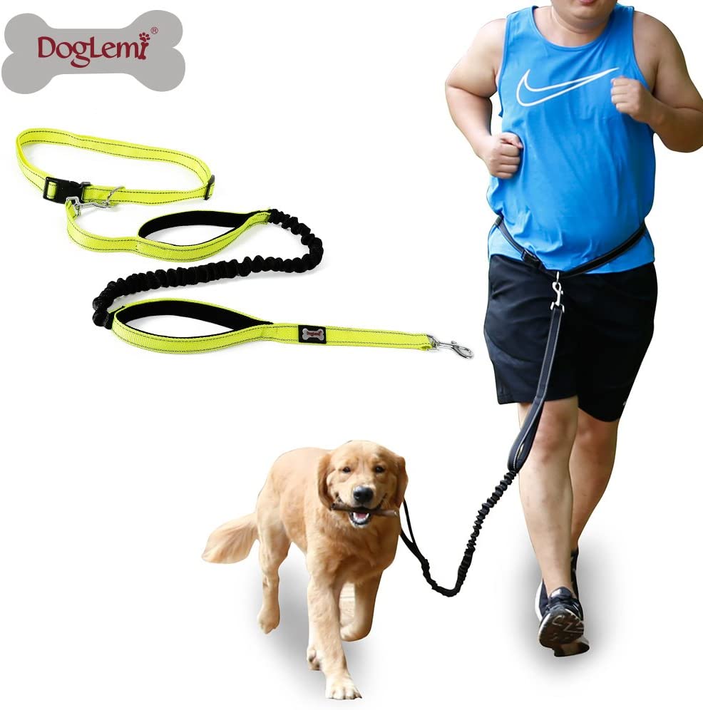 Pet Belt Running Hand Holding Rope Multi-functional Nylon Reflective Running Dog Leash Dog Sports Hand Holding Rope Sub-