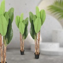 Hand-Made Faux Banana Plant Artificial Decoration Plant For Home & Office Decoration |RA6461|