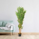 Hand-Made Bamboo Trunk Artificial Decoration Plant For Home & Office Decoration |RA6571(L) / RA6573(S)|