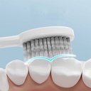 7MD Travel Toothbrush with a Builtin Case for Toothpaste, Folding Handle, Soft Bristle, Blue Color