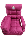| Winter Collection | Portable Folding & Extendable Chair For Indoor & Outdoor Use Camping Chair (EASY-0212A)