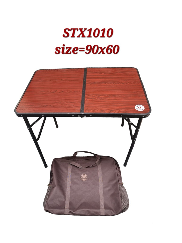 Portable Folding Table For Camping & Picnics With Bag