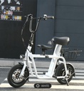 Fiido Electric Scooter Bike With Extra Child Seat