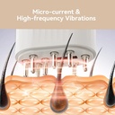 7MD Electric Massage Brush Electric Hair Oil Applicator and Hair Scalp Massager Brush Scalp Applicator Comb Model:7MD2417