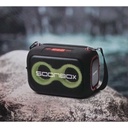 SoonBox Wireless Party Box | S300 |