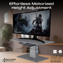 Promate Motorized Ergonomic Monitor & Laptop Stand with Built-In USB Hub | Raizer |
