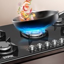 Winning Star Tempered Glass 5 Burner Kitchen Stove | ST-5660 |