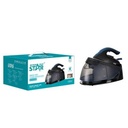 WINNING STAR 2200W Self-Cleaning Ceramic Soleplate Industrial Steam Station Iron  Vertical Steamer for Household and Commercial Use |ST-6129|