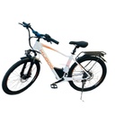 Kugoo Lightweight Durable 26 Inch Wheels M1012025 Electric Bicycle |M101|