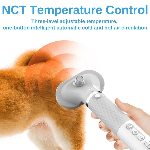 Portable PET Blow Dryer 5 in 1 Multifunction Negative ION Fast Drying 10M Ions Adjustable Settings Lightweight & Compact