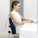 7MD Lumbar Cushion Orthopedic Support Adjustable Strap Premium Memory Foam Backrest for Car Gaming & Office Chair |7MD2495|