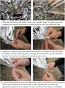 Ghaith and Qalby Etmaan Emergency Blanket Thermal Foil First Aid Survival Blanket for Camping Hiking and Outdoor Activities