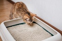 HORIZON CAT Litter - 10 L Dust-Free, Odor-Absorbing, Non-Stick to Paws, and Suitable for Sensitive Cats | 8683923342406 |