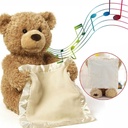 MOMMY & ME Peekaboo Bear for Kids is a singing, talking musical teddy bear with a cover for hiding | MM-39625 |