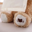 MOMMY & ME Peekaboo Bear for Kids is a singing, talking musical teddy bear with a cover for hiding | MM-39625 |
